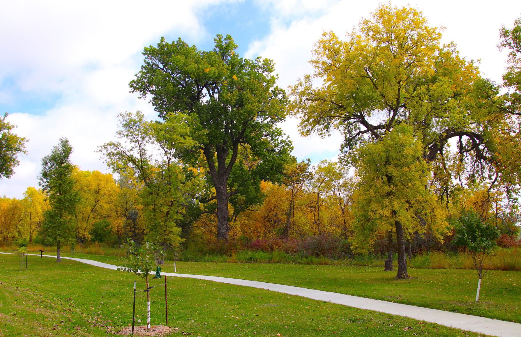 Fall Comes to General Sibley